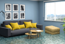 How to Choose the Best Water Damage Restoration Service