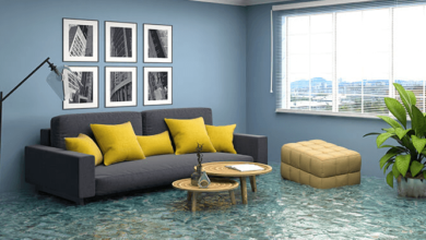 How to Choose the Best Water Damage Restoration Service