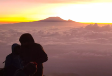 The Sacred Logic of Ascent: What Kilimanjaro Teaches About Knowledge, Patience, and Purpose