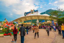 Top 3 Impressive Hong Kong Travel Attractions For First-Time Visitors