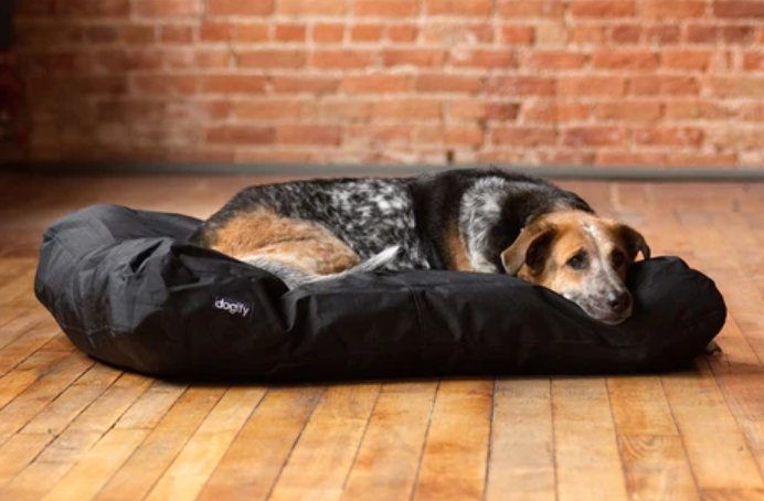 Chew-Resistant Dog Beds: Durable Comfort for Aggressive Chewers 