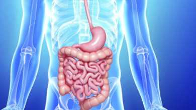 How Does Triphala Guggulu Help The Human Body?