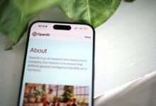 0212 2651575 phone line