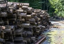 network tracking overview linked to 3478435466863762 and feedback logs