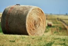 titan beam 900031340 expansion node