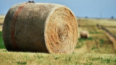 titan beam 900031340 expansion node