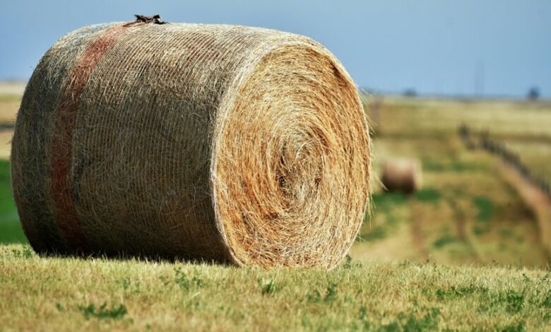 titan beam 900031340 expansion node