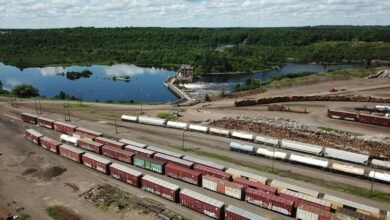 training overview for qalsikifle weniomar monitoring logs