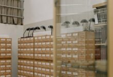 advanced connectivity observation archive excerpt