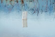 advanced monitoring classification ids list