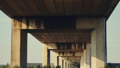 finalized oversight compilation identifiers