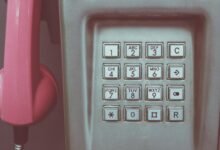 network activity record identifiers listed