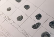 network activity record set ids