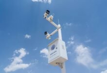 network safety observation ids list