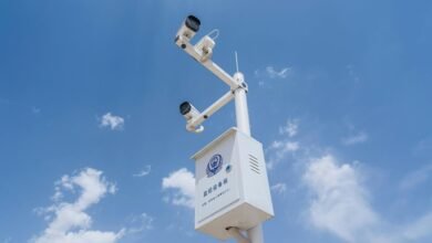 network safety observation ids list