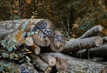 structured security log identifiers list