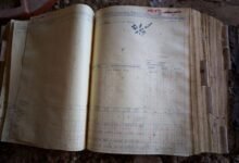 browse complete records by ids listed