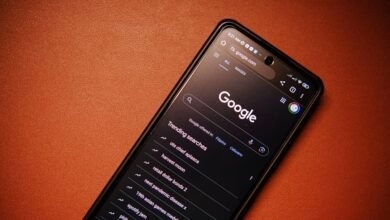 phone number lookup results summarized
