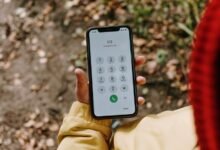 phone numbers for identity lookup collected