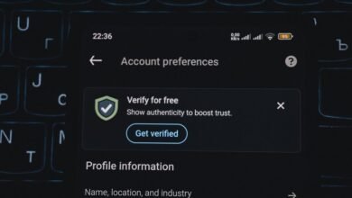 public account profile search targets