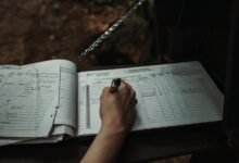 review ids listed for database entries