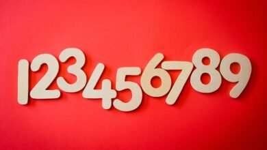 unknown numbers lookup report results