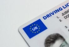 verified records for ten specific ids