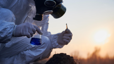From Soil Sampling to Laboratory Analysis: Understanding Asbestos Investigations